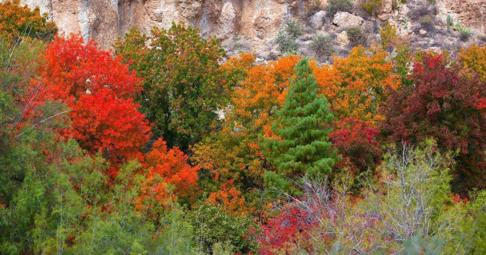 Holiday Inn Express Sedona - Oak Creek By Ihg Exterior foto